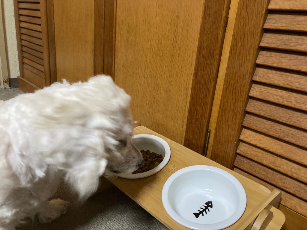 全体のレビュー画像 | 1-0