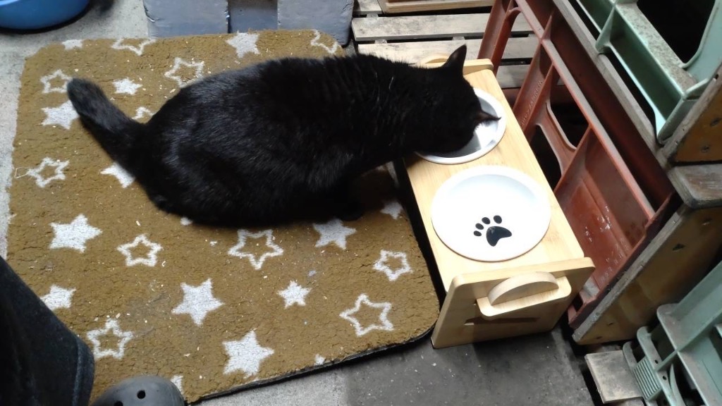 全体のレビュー画像 | 11-1