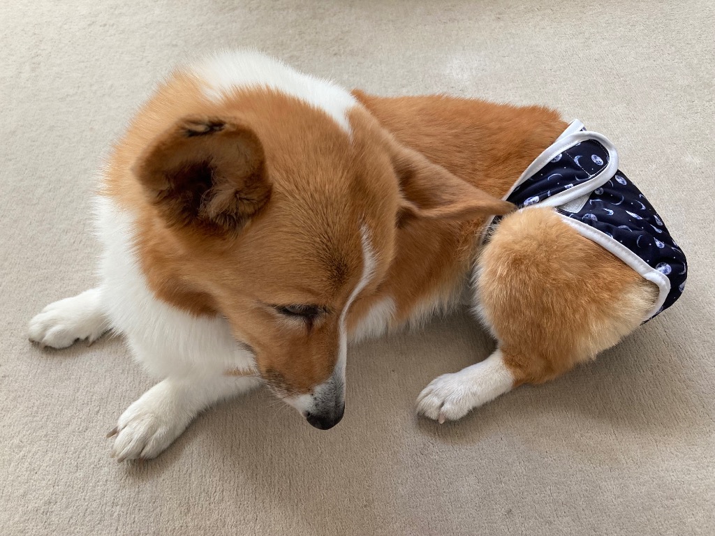 全体のレビュー画像 | 2-2