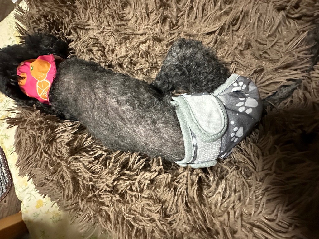 全体のレビュー画像 | 4-1