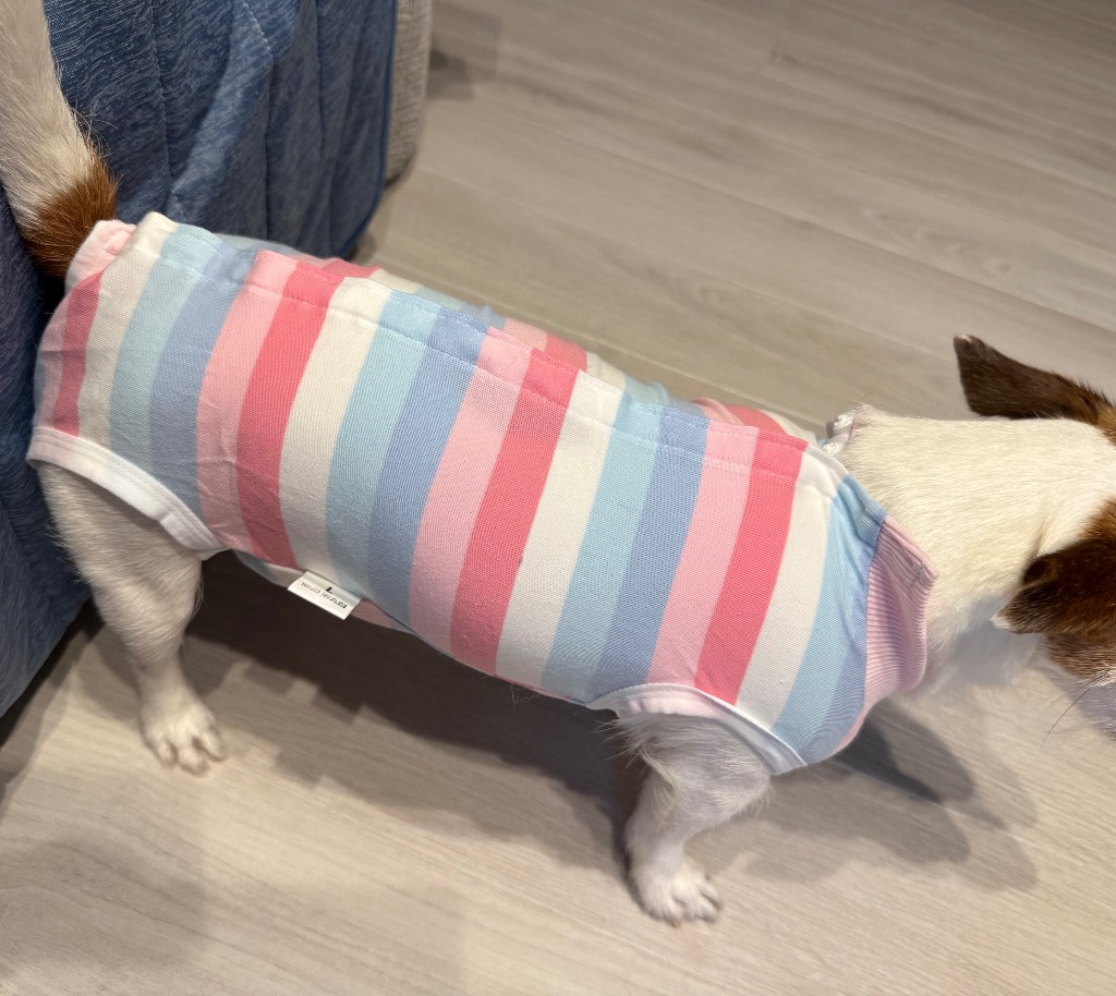 全体のレビュー画像 | 5-0