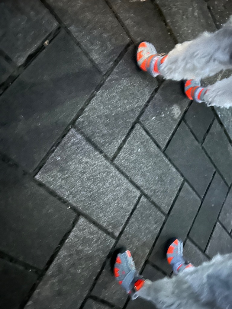 全体のレビュー画像 | 1-0