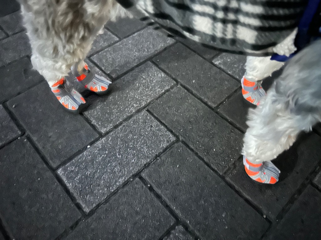 全体のレビュー画像 | 1-1