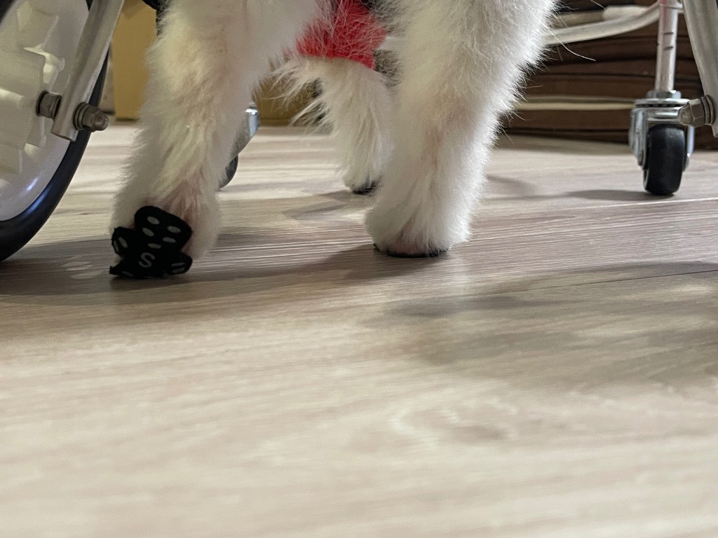 全体のレビュー画像 | 2-1