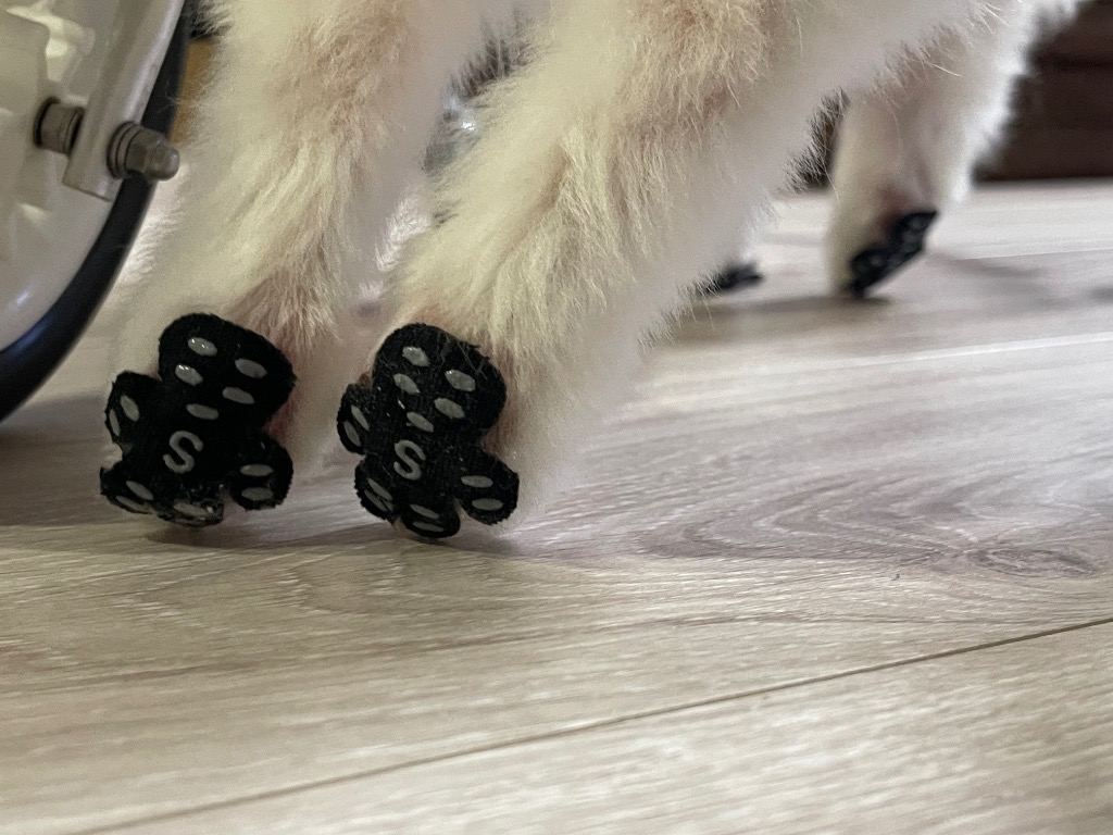 全体のレビュー画像 | 2-0