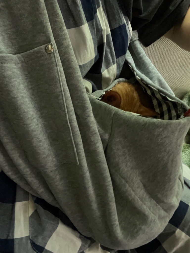 全体のレビュー画像 | 0-0