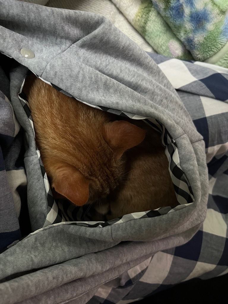 全体のレビュー画像 | 0-1