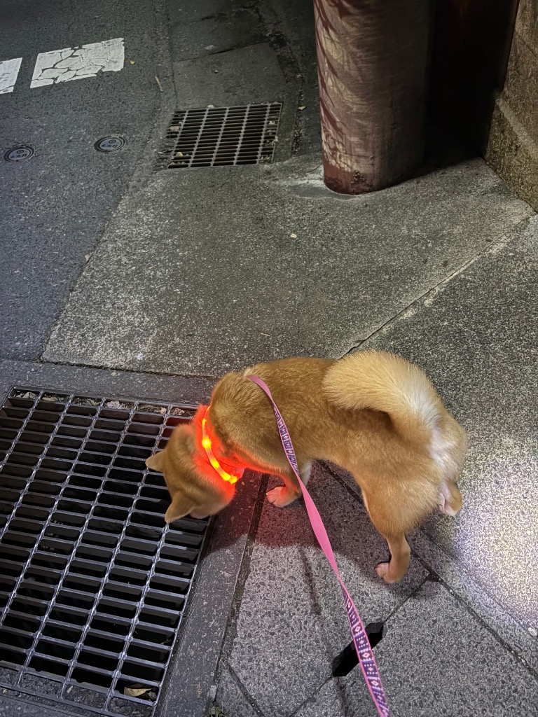 全体のレビュー画像 | 8-0