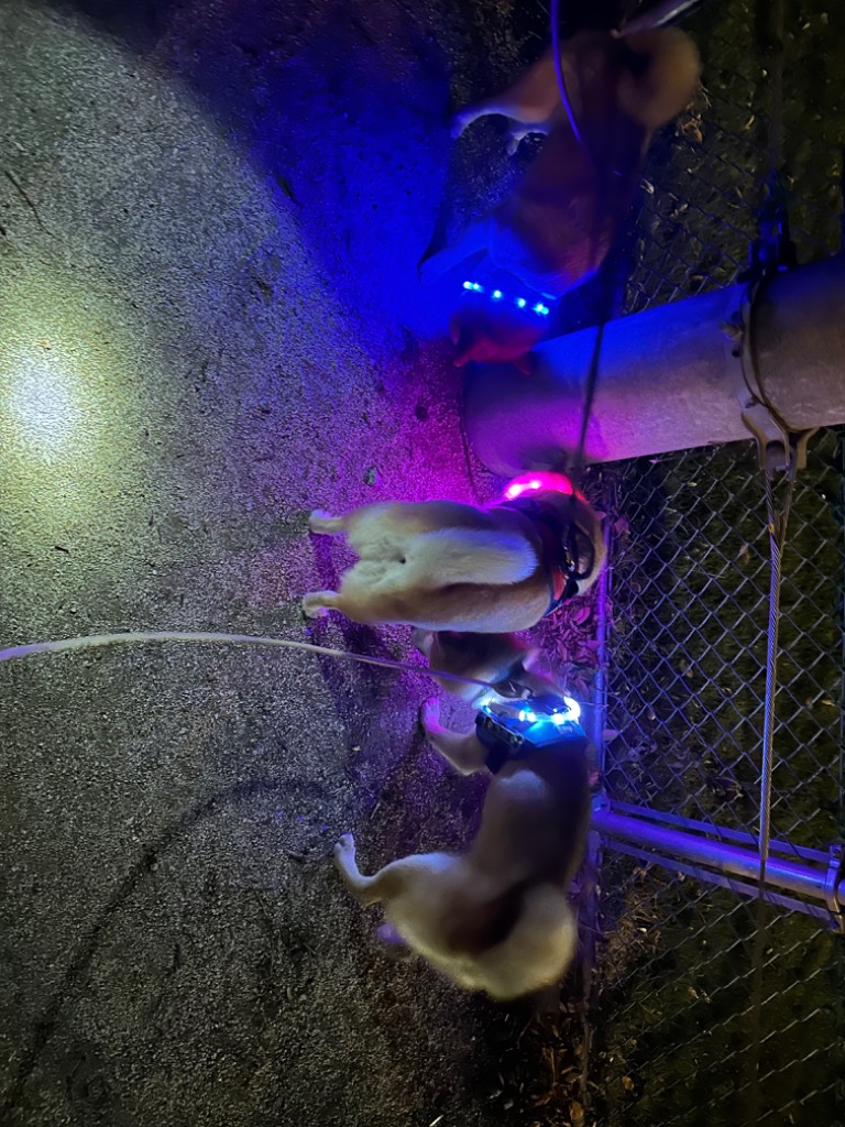 全体のレビュー画像 | 10-1