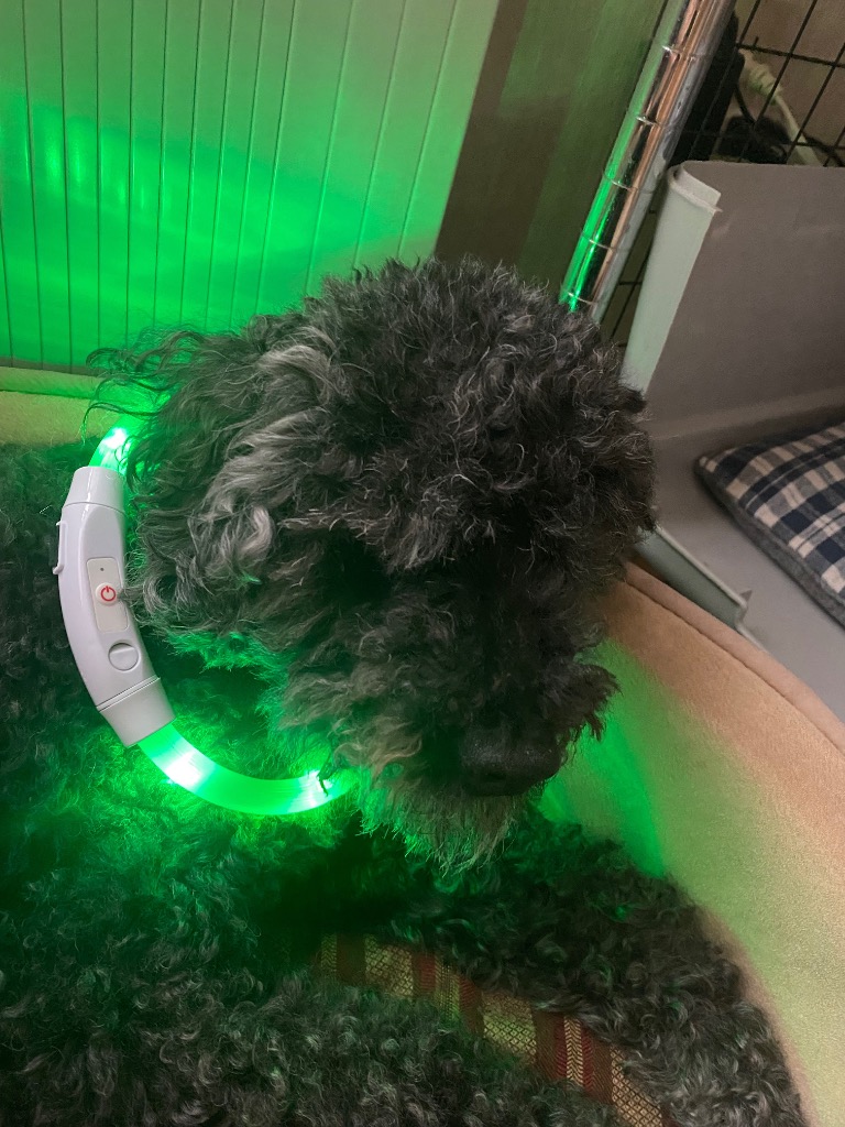 全体のレビュー画像 | 9-0