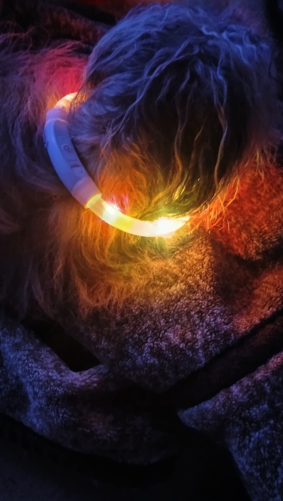 全体のレビュー画像 | 0-0