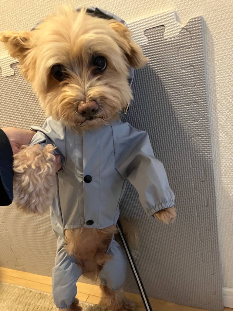 全体のレビュー画像 | 10-2