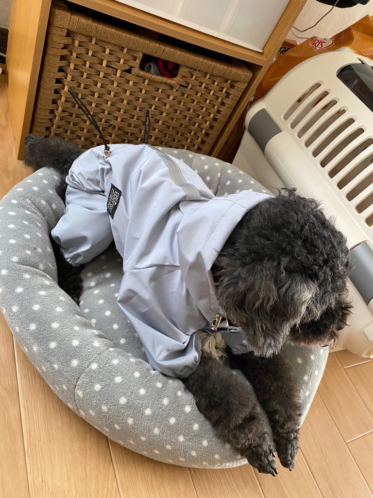 全体のレビュー画像 | 5-1