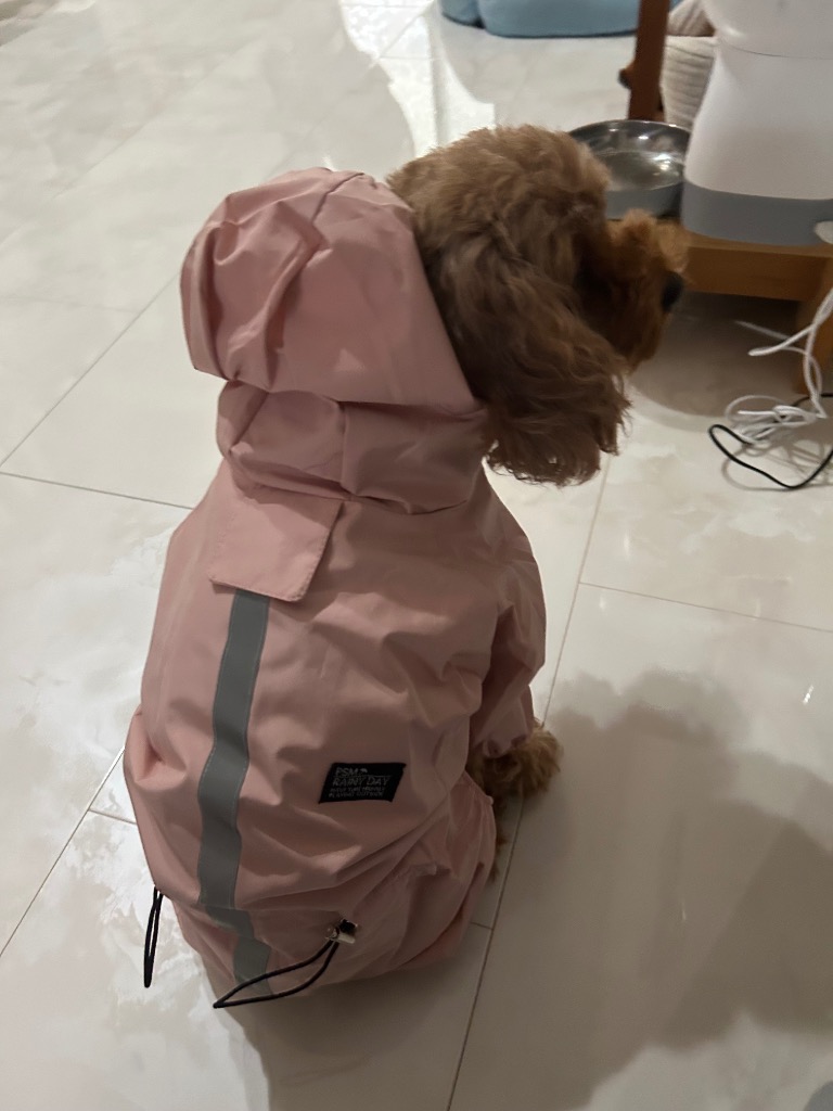 全体のレビュー画像 | 3-1