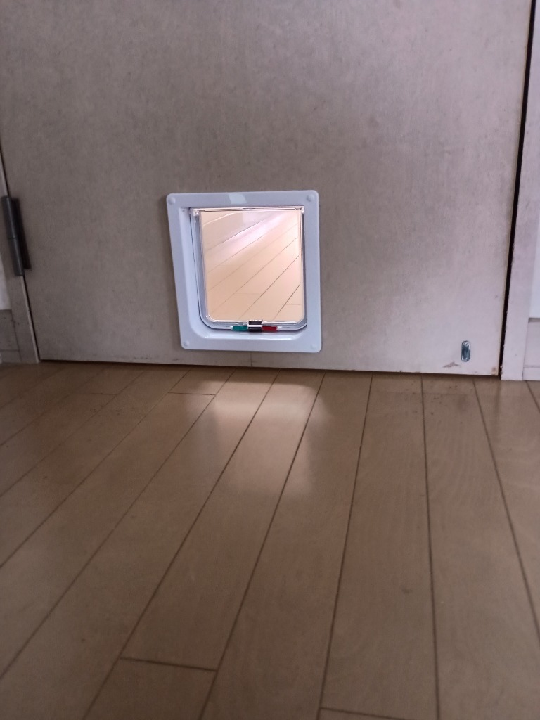 レビュー画像