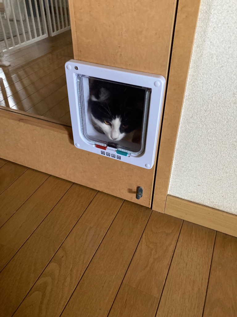 全体のレビュー画像 | 0-0