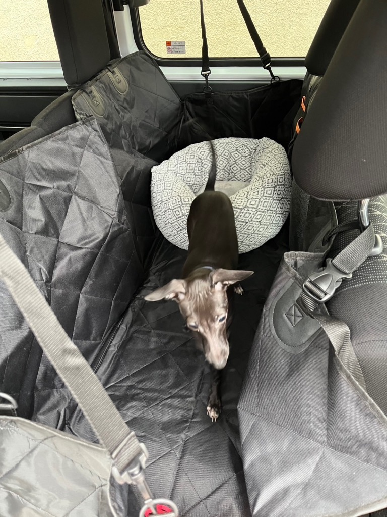 全体のレビュー画像 | 2-0