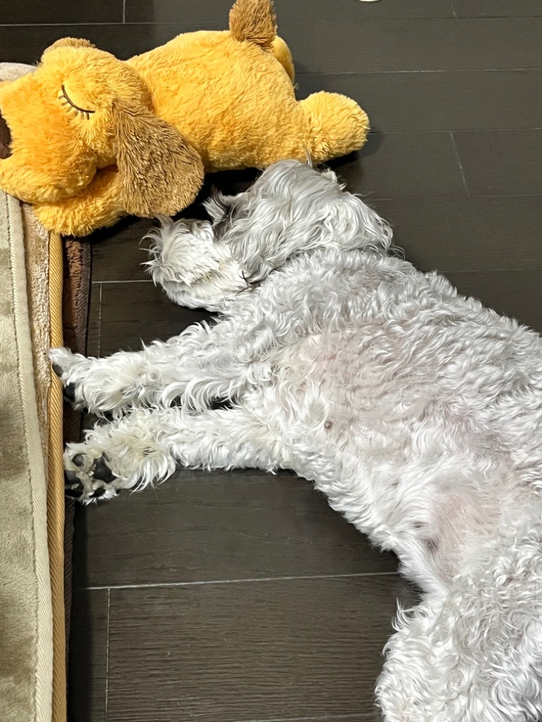 全体のレビュー画像 | 4-0