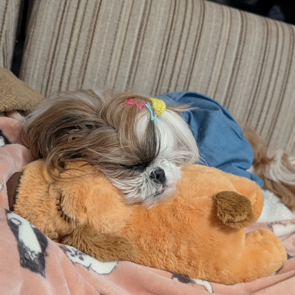 全体のレビュー画像 | 3-0