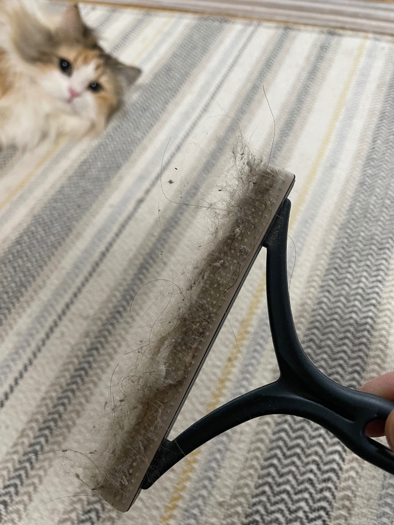 全体のレビュー画像 | 4-0