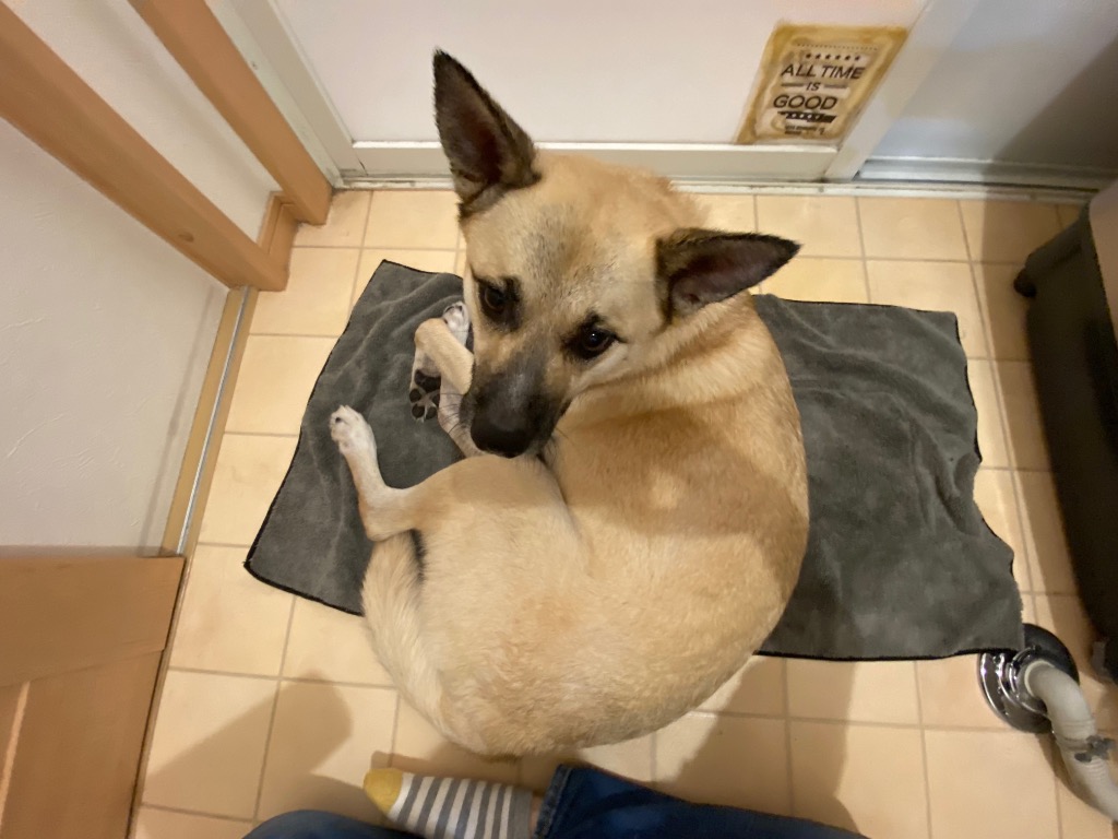 全体のレビュー画像 | 2-1