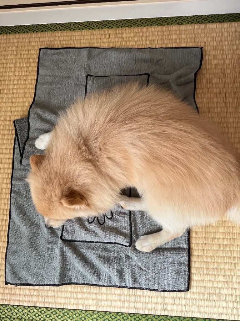 全体のレビュー画像 | 0-2