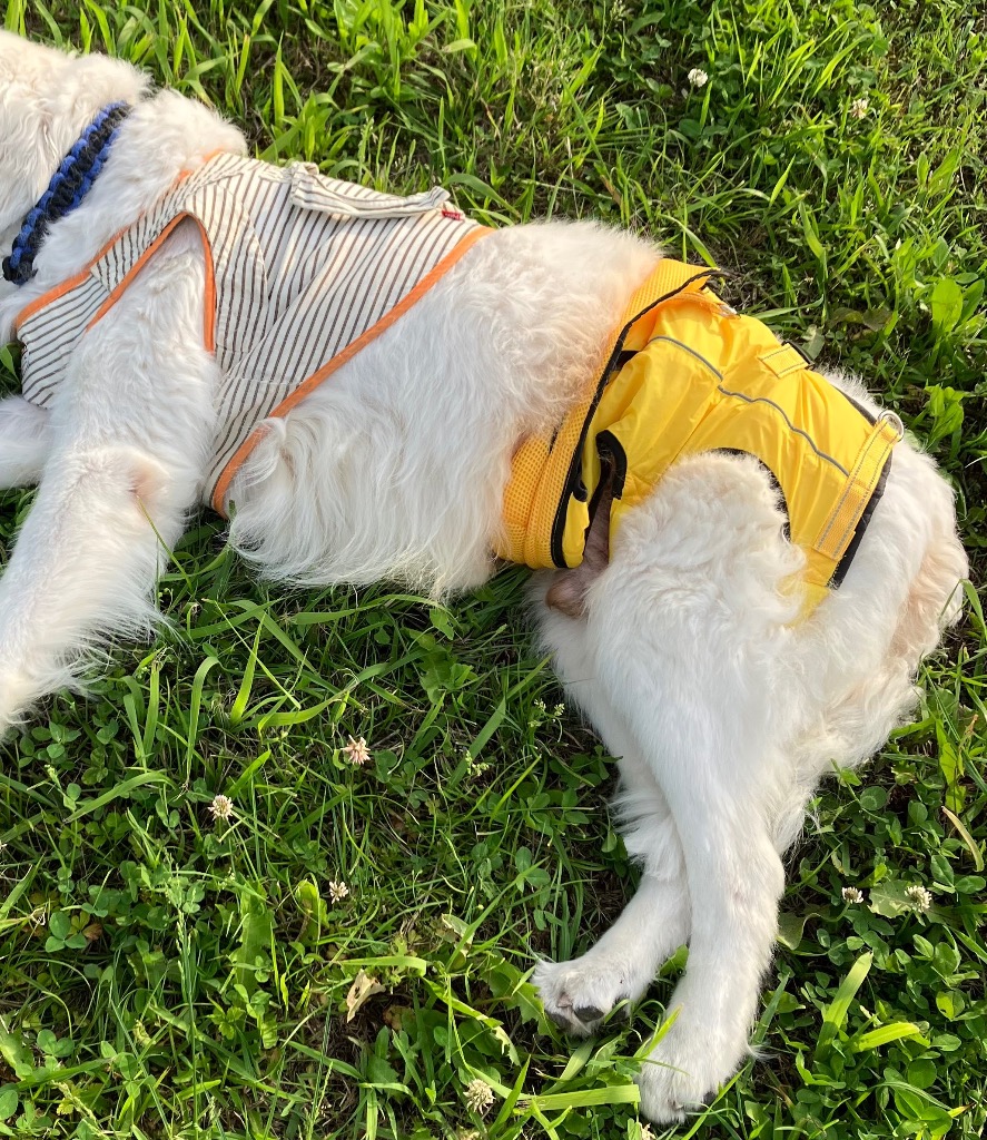 1件目のレビュー画像 | 0