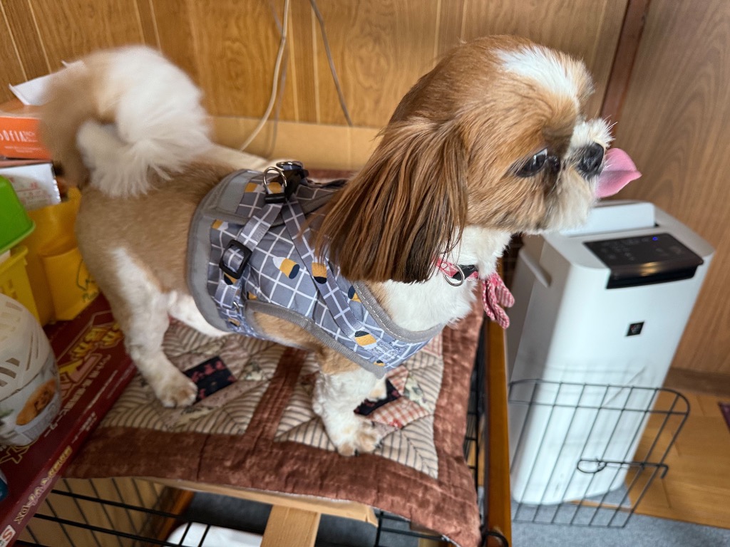 全体のレビュー画像 | 1-0