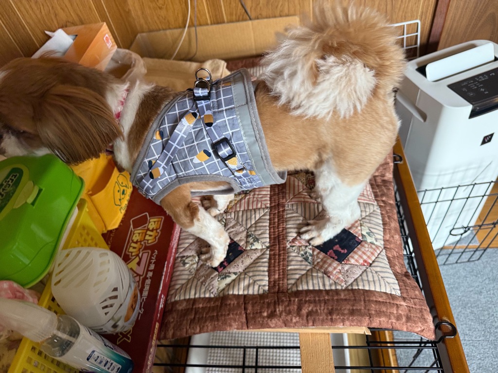 全体のレビュー画像 | 1-1