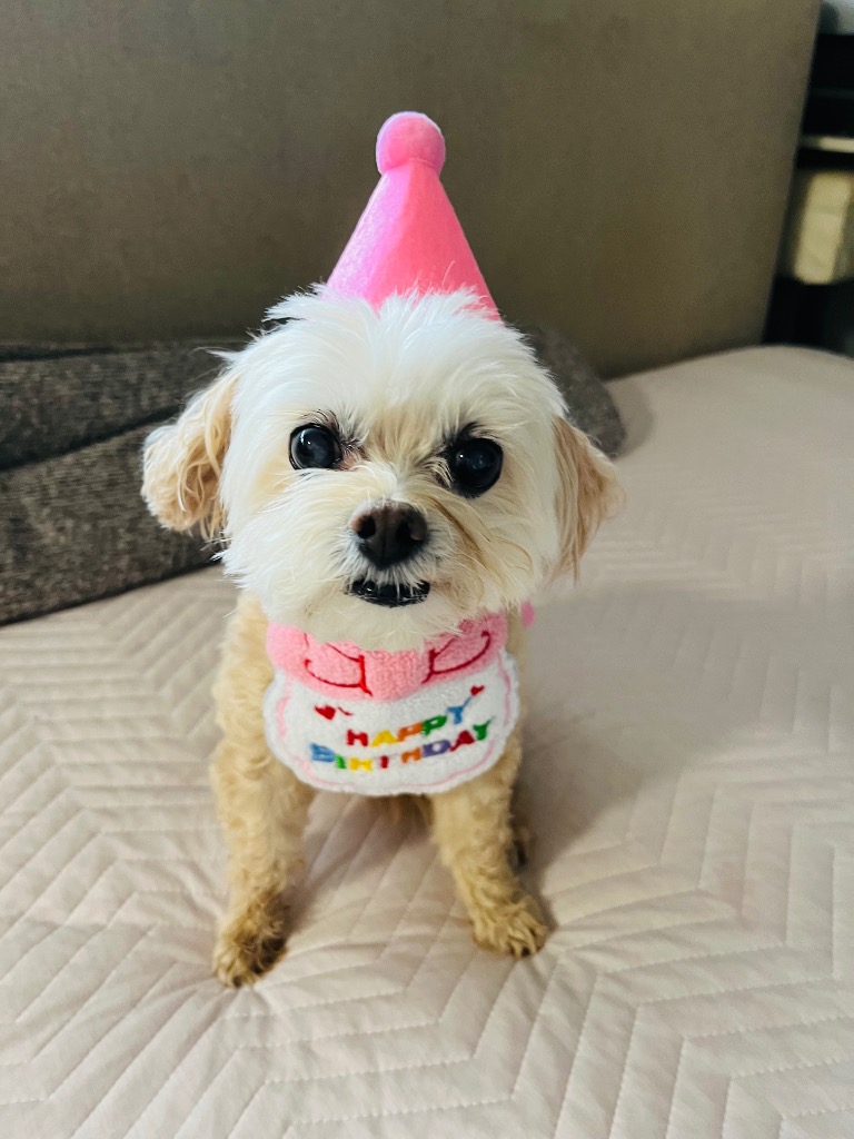 全体のレビュー画像 | 0-0