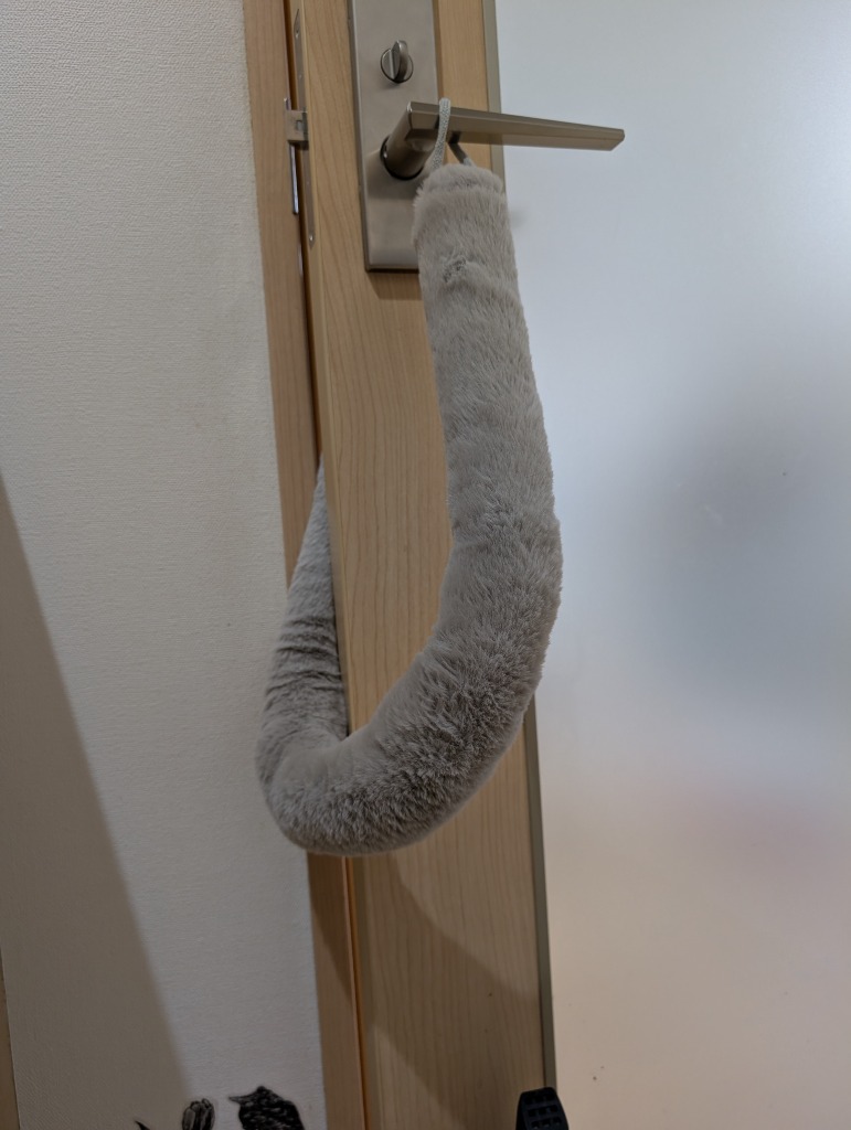 5件目のレビュー画像 | 1