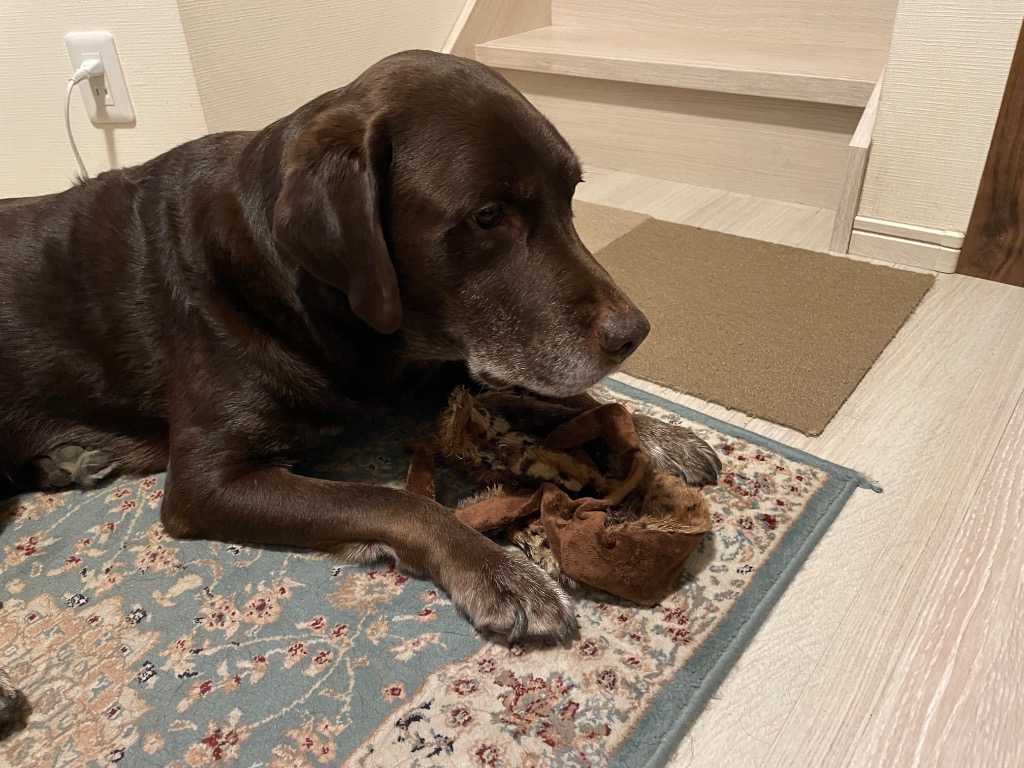 全体のレビュー画像 | 0-0