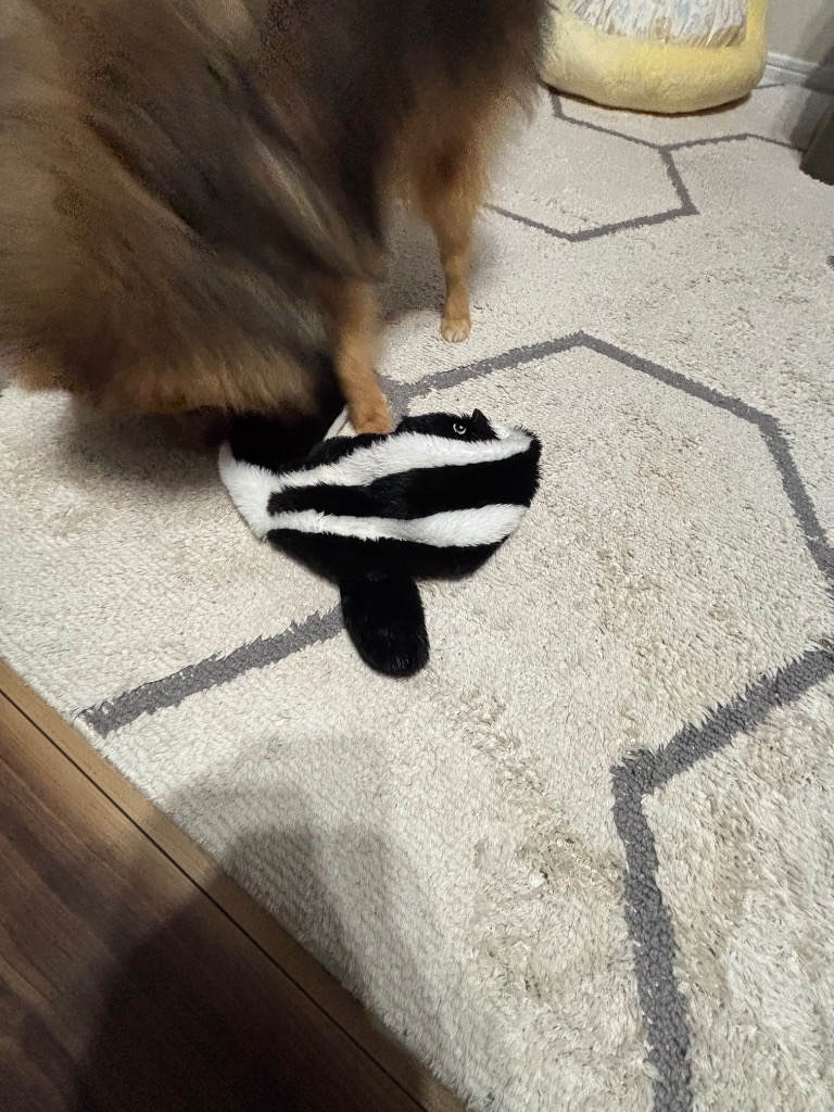 全体のレビュー画像 | 0-0