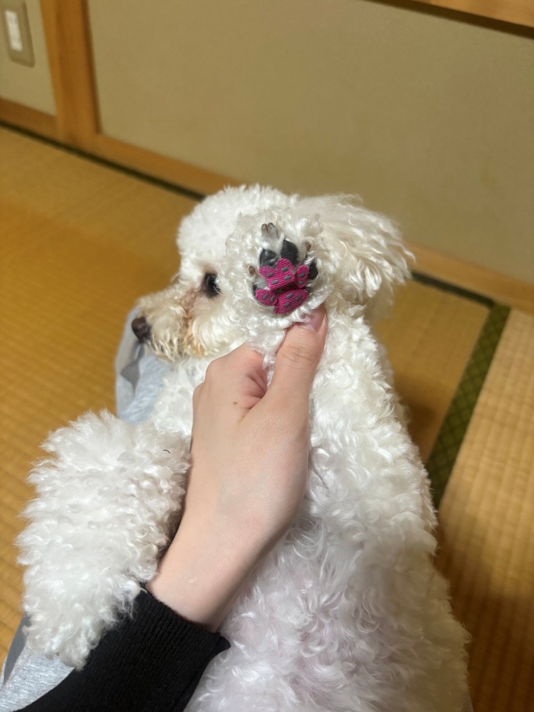 1件目のレビュー画像 | 0