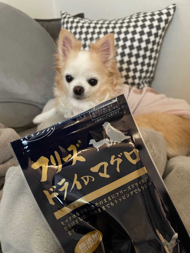 全体のレビュー画像 | 0-0