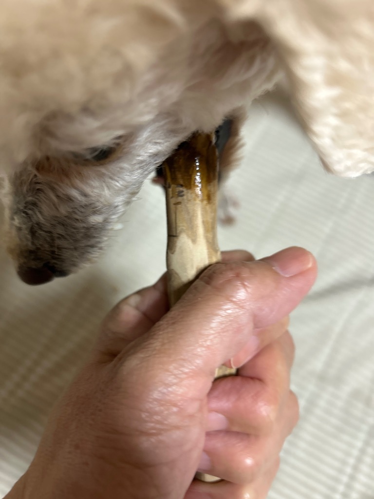 1件目のレビュー画像 | 0