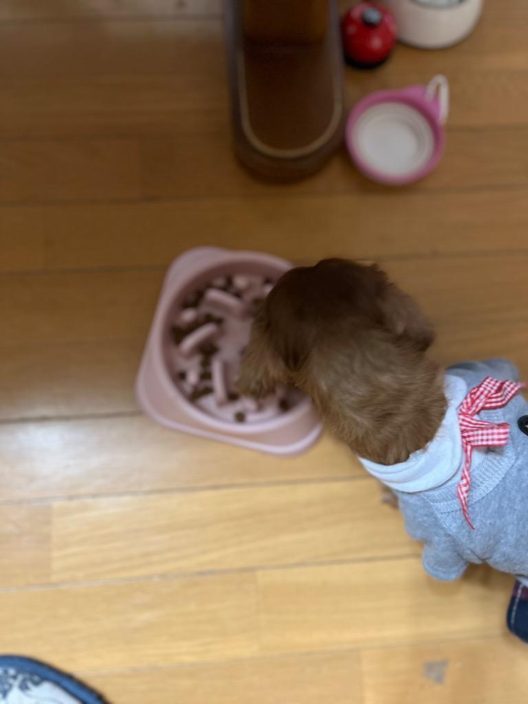 全体のレビュー画像 | 3-0