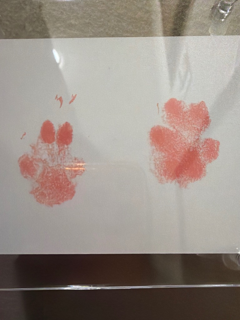 全体のレビュー画像 | 0-0