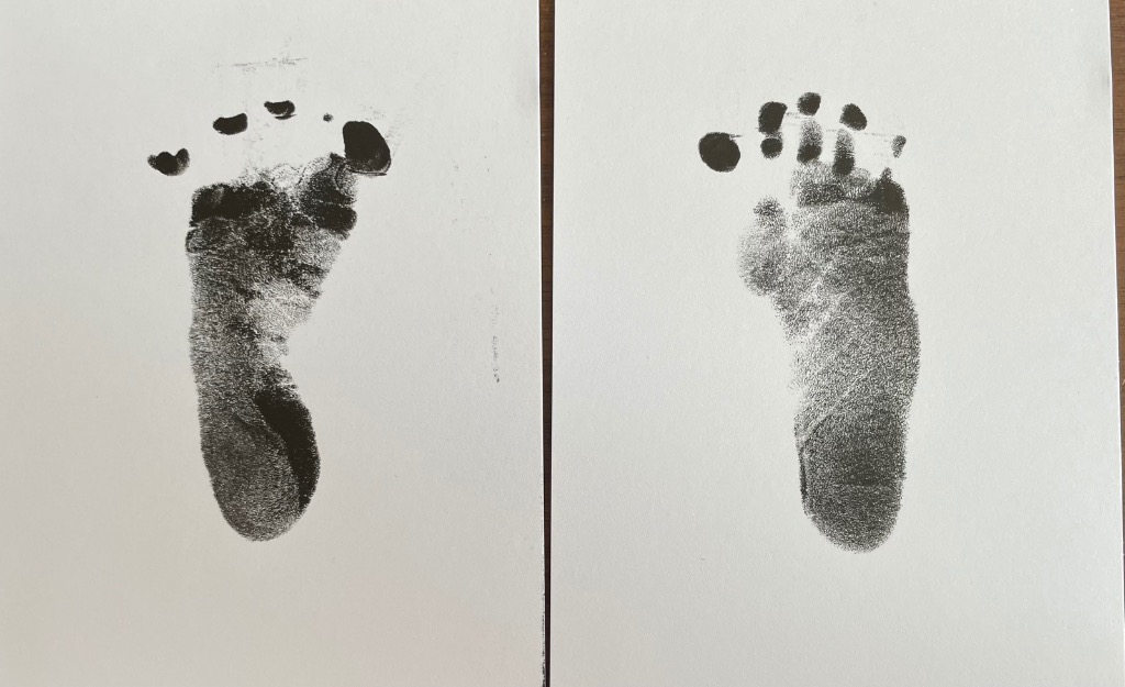 全体のレビュー画像 | 1-1