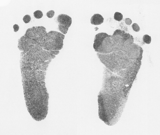 全体のレビュー画像 | 3-0