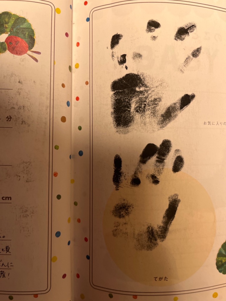 全体のレビュー画像 | 4-1