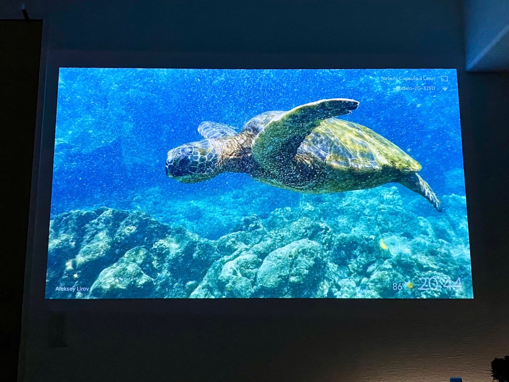 全体のレビュー画像 | 0-0