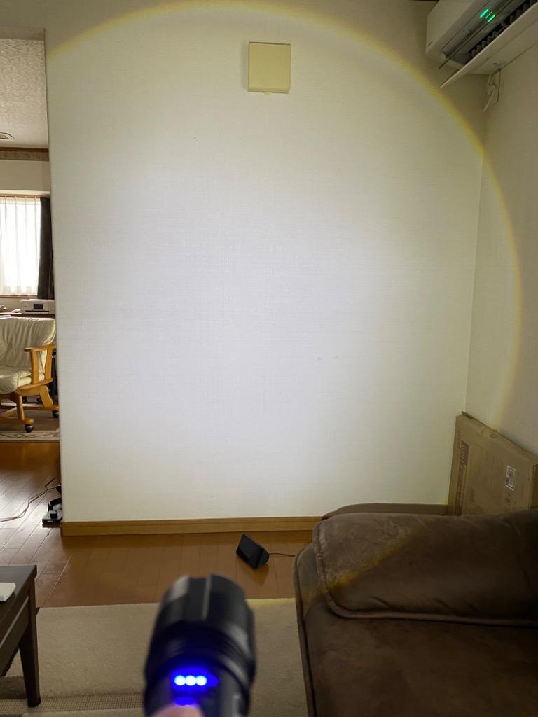 レビュー画像