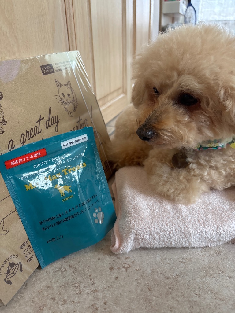 マイトマックストリーツ 小型犬用 60個入り×5袋セット 共立製薬 マイトマックストリーツ 小型犬用 60個入り ［ネコポス