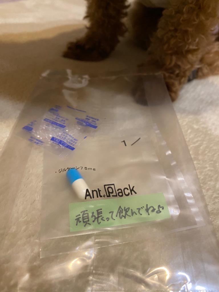 日本全薬 (お試し1日分) ジルケーン 75mg 犬猫用 体重1kg〜5kg 日本全薬 (お試し1日分) ジルケーン 75mg 犬猫用 体重1kg〜5kg