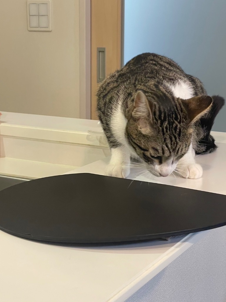 1件目のレビュー画像 | 0