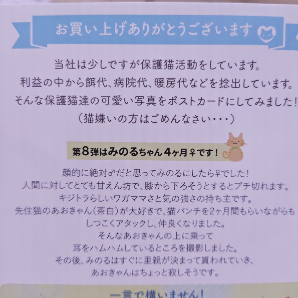 3件目のレビュー画像 | 2