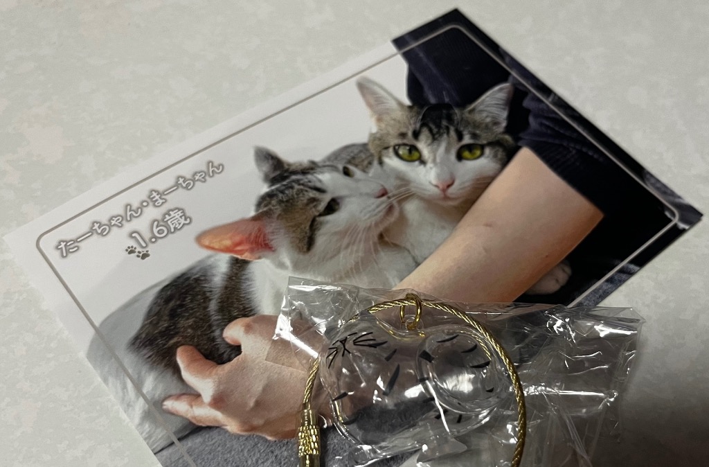ねこけだま 猫毛玉入れ 猫毛収納ボックス 6種類 毛玉容器 猫 毛