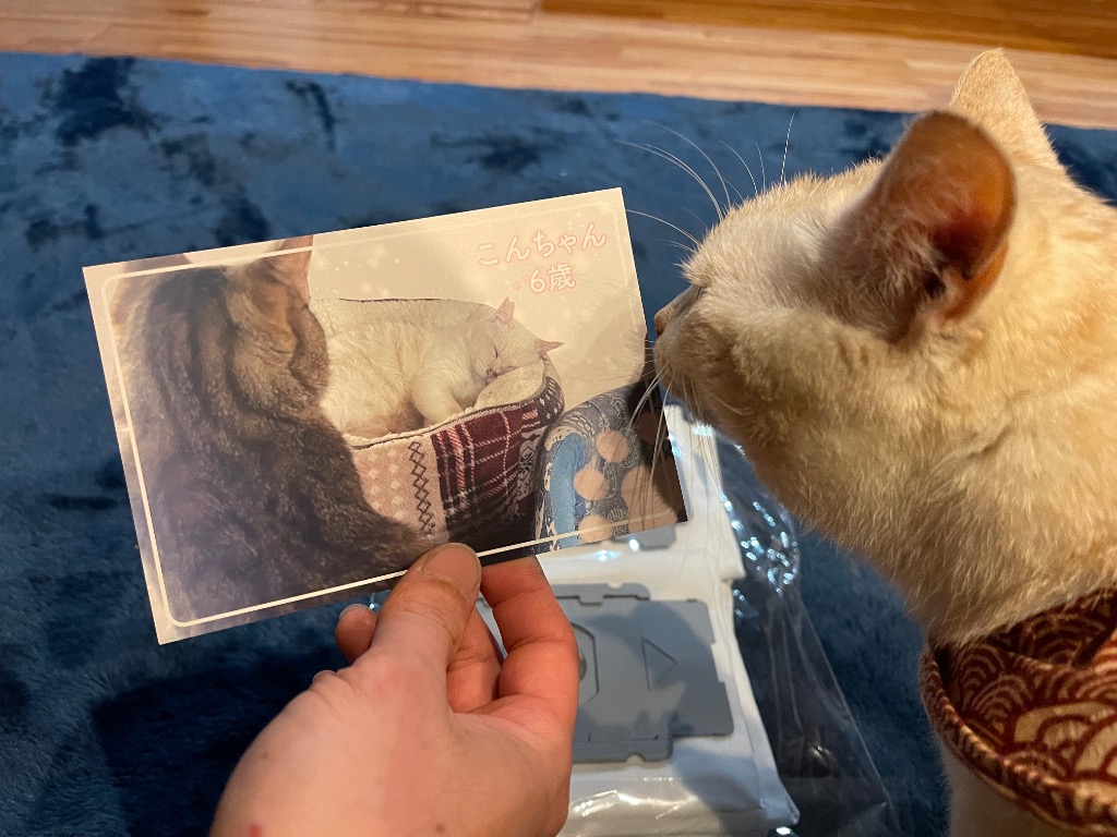 全体のレビュー画像 | 0-0