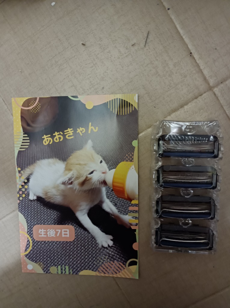 3件目のレビュー画像 | 0